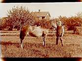 En man med en häst.Bostadshus i bakgrunden.G.A. Larsson