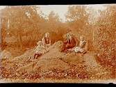 Familj, 4 personer.Gustaf Andersson
