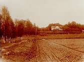 En och en halvvånings bostadshus med frontespis, veranda och balkong.
Lågt litet uthus, smedja (?).
Grosshandlare P. Pehrman