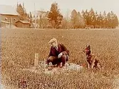 Älgskogens gård, en man och hans hund vid en dikesbrunn.
Jordbrukskonsulent H. Flodkvist, Örebro.