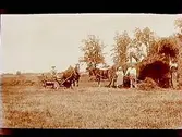 Höbärgning, 6 personer, 2 hästar spända för höskrindor.
Josef Larsson