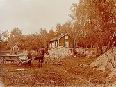 Envånings bostadshus.
Häst spänd för höskrinda med en man i.
N.E. Nilsson