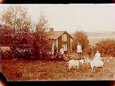 Bostadshus, fem personer och två geter framför huset.
Sam Lindskogs familjebild.