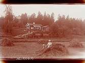 Sommarstugan, tre barn.
Sam Lindskogs familjebild.