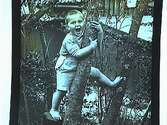 En liten pojke klättrar i träd.
Sam Lindskogs privata bilder.