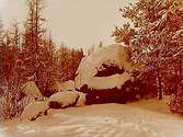 Natur, vinterbild.
Snöklädda träd och berg.