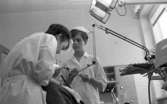 Fellingsbro tandklinik 8 april 1968

Tandläkare gör tandvård på en patient, och tandsköterskan assisterar henne.