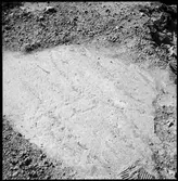 Hällristning Bolet Ånimskog