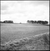 Forstena. Lennart Torstenssons monument.