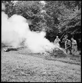 Fornlämning - Markvård.