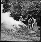 Fornlämning - Markvård.