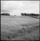 Västra Tunhem. Torstenssons monumentet