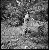 Västra Tunhem. Fornlämning-Markvård.