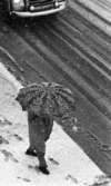 Snön 18 oktober 1967

En man klädd i rock, byxor och skor går på trottoaren i centrala Örebro med ett paraply uppspänt över sig. En bil kommer körande på gatan i bakgrunden.

































































































































 
































                                                                                                                                                                                                                                                                                                                                                                                                                                                                                                                                                                                                                                                                                                                                                                                                                                                                                                           























































































































                                                





















































































































































 
































                                                                                                                                                                                                                                                                                                                                                                                                                                                                                                                                                                                                                                                                                                                                                                                                                                                                                                           























































































































                                                


































































   










































 













































































































































































































 
































                                                                                                                                                                                                                                                                                                                                                                                                                                                                                                                                                                                                                                                                                                                                                                                                                                                                                                           























































































































                                   