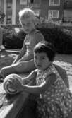 Korea barnet 31 augusti 1966