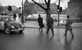 Gående, första felgångarn 7 februari 1967

Vid trafikljuset på Trädgårdstorget går tre män över gatan. På bilden ser man lite av slottet. Längre bort syns Centralpalatset på Olaigatan.