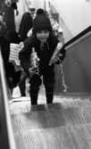 Julhandeln 12 december 1966
 
En liten pojke åker rulltrappa med julklappar i sina händer. Han är klädd i svart mössa, mörk jacka, svarta byxor och svarta stövlar.













































































































































































 
































                                                                                                                                                                                                                                                                                                                                                                                                                                                                                                                                                                                                                                                                                                                                                                                                                                                                                                           























































































































                                                





















































































































































 
































                                                                                                                                                                                                                                                                                                                                                                                                                                                                                                                                                                                                                                                                                                                                                                                                                                                                                                           























































































































                                                


































































   










































 













































































































































































































 
































                                                                                                                                                                                                                                                                                                                                                                                                                                                                                                                                                                                                                                                                                                                                                                                                                                                                                                           























































































































 