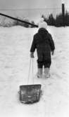 Den första snön 5 nov 1968

Barn i med pulka i backe.