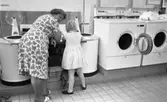Tvättomat, 13 juli 1965