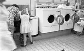 Tvättomat, 13 juli 1965