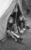 Campingplatsen bra i Gustavsvik 12 juli 1965

Två yngre män sitter i tältöppning och sätter på sig skor