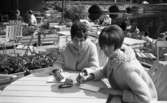 Systrarna Rynning igen, 7 juli 1965

I förgrunden syns två kvinnor vid ett kafébord med vykort och pennor i sina händer. De är iklädda virkade långkoftor samt kortklippta frisyrer. Runtomkring syns ytterligare kafégäster.