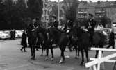 Sverige - Västtyskland 27 september 1965

Fans, poliser till häst i samband med fotbollslandskamp
