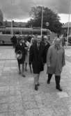 Knytkalaset 5 juli 1965.

Harald Aronsson kommer gående från busshållplats i samspråk med andra jubileumsdeltagare.