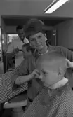 Damfrisörskor 8 juli 1965.

I förgrunden klipper en damfrisörska håret på en liten pojke. I bakgrunden klipper en manlig frisör håret på en ung herre.