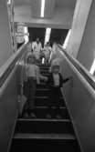 Rulltrapporna farliga 16 juli 1965.

Två barn åker rulltrappa.