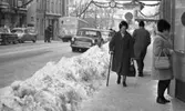 Halkiga pensionärer, 18 december 1965

En kvinnlig pensionär kommer gående på Drottninggatan en vinterdag.Hon är klädd i mörk lång kappa, pälsmössa med märke, mörka strumpor och skor på fötterna. I höger hand håller hon en käpp och i vänster hand en stor väska. Bredvid henne längs med trottoaren löper en stor, uppskottad snöhög. Framför henne står en kvinna och tittar på skyltningen i ett skyltfönster. Bakom henne går en herre som är på väg åt andra hållet. Framför honom ligger Stora Hotellet. En buss passerar och flera bilar står parkerade på gatan i bakgrunden. Ytterligare personer syns längre bort. Över gatan uppe i luften hänger juldekorationer.