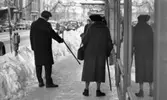 Halkiga pensionärer 18 december 1965

Två pensionärer står på trottoaren en vinterdag. Det är en man och en kvinna. Mannen pekar med sin käpp på en isfläck på marken och kvinnan tittar på stödjande sig på sin käpp. Till vänster om mannen syns en parkeringsautomat. En stor uppskottad snöhög löper vid sidan längs med trottoarkanten. Parkeringsautomater sticker upp ur snöhögen. Framför de två pensionärerna längre fram på gatan ligger Handelsbanken. På gatan står bilar parkerade längs med trottoarkanten. Uppe i luften över gatan hänger juldekorationer.