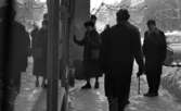 Halkiga pensionärer, 18 december 1965

En vinterdag på Drottninggatan i Örebro. En äldre kvinna-en pensionär- är i färd med att kliva in i en affär. Hon blickar in i kameran. På trottoaren är det snö och is. Två äldre herrar är på väg åt andra hållet med ryggen mot kameran. Längre till höger står en äldre herre med käpp och tittar. En ung man står lutad mot väggen bakom den äldre damen. Han blickar också rakt in i kameran. Uppe i luften över gatan hänger juldekorationer.