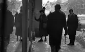 Halkiga pensionärer, 18 december 1965

En vinterdag på Drottninggatan i Örebro. En äldre kvinna-en pensionär- är i färd med att kliva in i en affär. Hon blickar in i kameran. På trottoaren är det snö och is. Två äldre herrar är på väg åt andra hållet med ryggen mot kameran. Längre till höger står en äldre herre med käpp och tittar. En ung man står lutad mot väggen bakom den äldre damen. Han blickar också rakt in i kameran. Uppe i luften över gatan hänger juldekorationer.