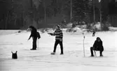 Pimpelfiske i Kilsbergen 11 januari 1965