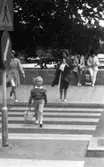 Barnen i trafiken 12 juli 1965

Trafiksäkerhet, flicka på övergångsställe