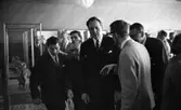 Vinet skall, 3 augusti 1965

Italienska utställningen i Medborgarhuset med bl. a. landshövdingen Valter Åman och Viterbos borgmästare Luigi Crescia. En samling herrar står i utställningslokalen och beser antika föremål med knytning till vinhantering från gamla Etrurien.