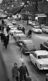 Julrush 24 december 1965

Bild av norra delen av Drottninggatan mot Storbron. Granrisgirlander med lampor och julprydnader i form av gula stjärnor och röda klockor hänger i bågar tvärs över gatan med ca 10 m avstånd mellan. trottoarerna är fyllda med folk.