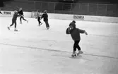 Skridskoskola, 17 januari 1966

Fler flickor på isen
Vinterstadion