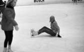 Skridskoskola, 17 januari 1966

Fler flickor på isen
Vinterstadion