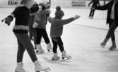 Skridskoskola, 17 januari 1966

Fler flickor på isen
Vinterstadion
