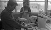 Ortopeden 28 februari 1966

Två herrar tillverkar modellertill hjälpmedel för fysiskt handikappade. De står vid en stor arbetsbänk. På denna ligger bl.a. gipsfötter.