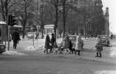 Barn i trafiken, 25 januari 1966

Människor, bl a barn och kvinnor vid övergångsställe Järntorget