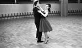 Danssegern 9 januari 1966

Ensamt par dansar på dansgolv av typ parkett