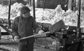 Hallsbergsskottarna 5 januari 1966

Man i arbetskläder skottar bort snö från järnvägsräls,  och skyfflar upp snö på järnvägsvagn
