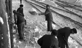 Hallsbergsskottarna 5 januari 1966

Män i arbetskläder skottar bort snö från järnvägsräls,  och skyfflar upp snö på järnvägsvagn