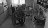 Handikappad får drömbostad 22 januari 1966

Äldre kvinna i rullstol kokar kaffe, hon tittar i kökslåda
