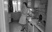 Hemma hos Ignell 8 januari 1966

Medelålders kvinna poserar i kök