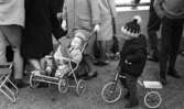 Travet 2 maj 1966

Barn, i barnvagn och på trehjuling, i publik vid travtävling