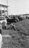 Travet 2 maj 1966

Flera bilar står parkerade vid travtävling, en baklucka är öppen, campingbord, en kvinna solar, en man vilar sitt huvud i sina knän